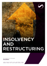 SDZLEGAL_BF_2024-11_EN_Insolvency-and-Restructuring.pdf